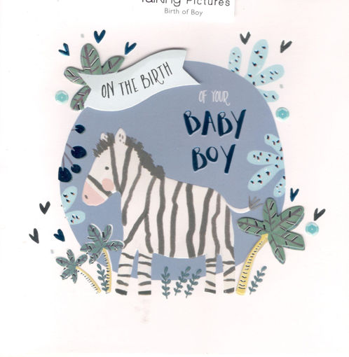 Picture of BIRTH OF BABY BOY CARD